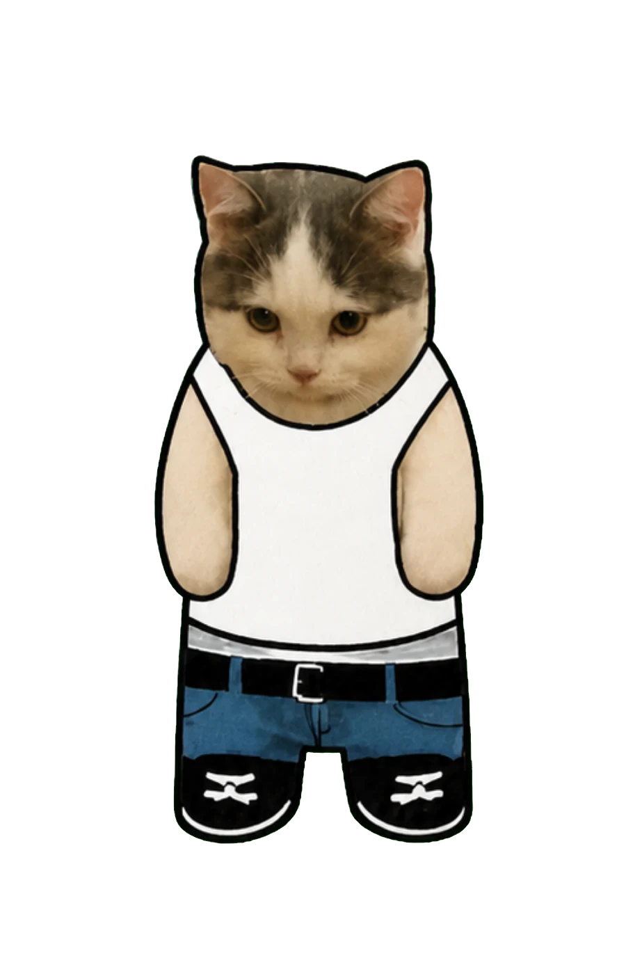 Money Cat paper figure from the front